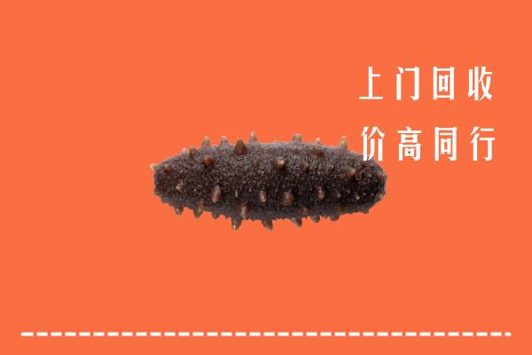 高价求购：威海回收海参